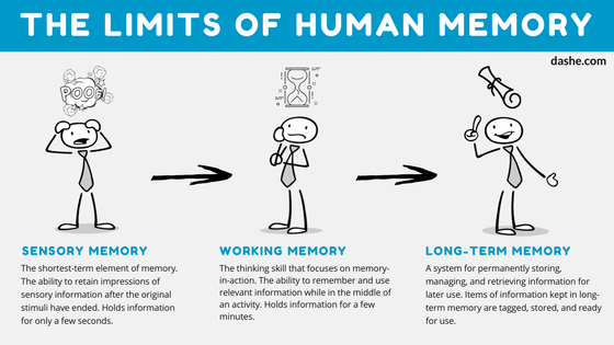 Limits of Human Memory Final.png